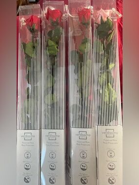 4 - Verdissimo Preserved Red and Pink Roses- Long Stem
